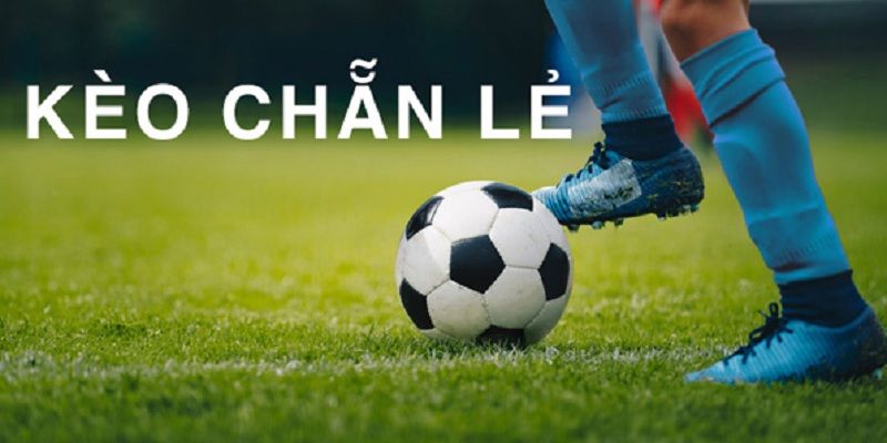 Cược chẵn lẻ dễ chơi nhiều người yêu thích