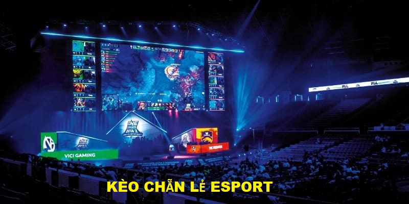 Kèo chẵn lẻ Esport trải nghiệm mới lạ