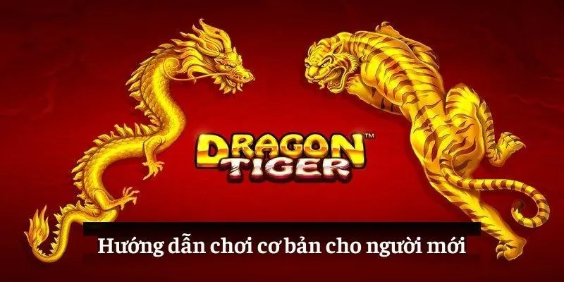 Hướng dẫn chơi cơ bản